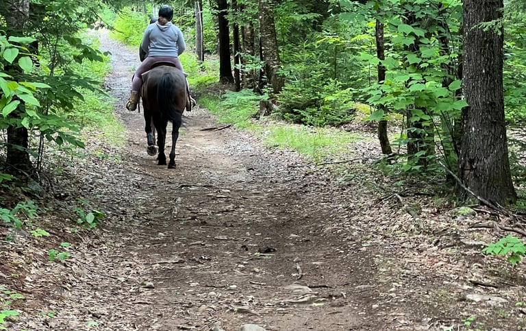 a person riding a horse down a path in the woods