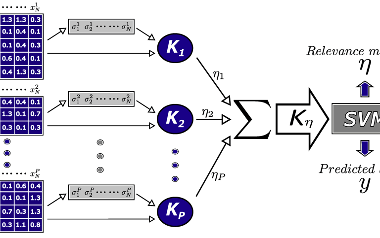 method for objective selection of information sources using multi-kernel SVM and local scaling