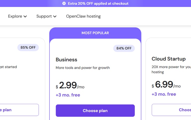 online software hostinger pricing review