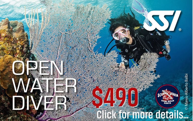 A female scuba diver explores a coral reef during an SSI Open Water Diver course in Diani Beach, Kenya.