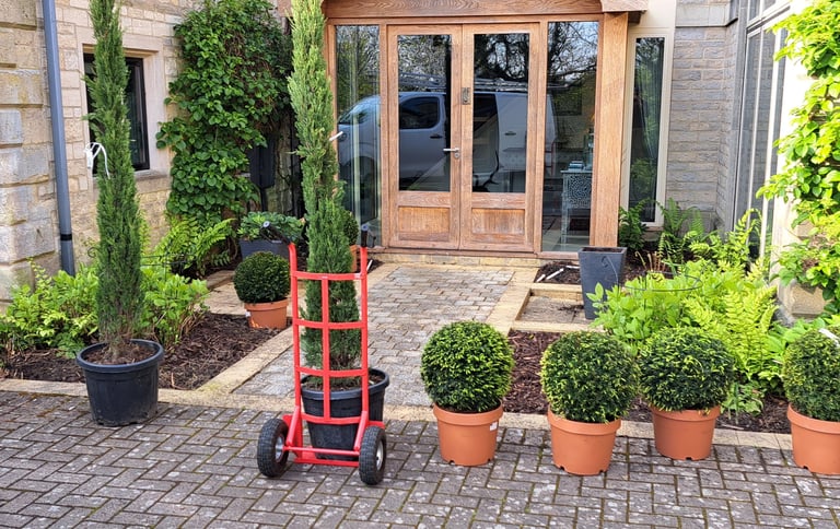 Trees and shrubs being delivered