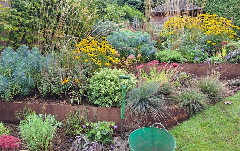 Mixed perennial border