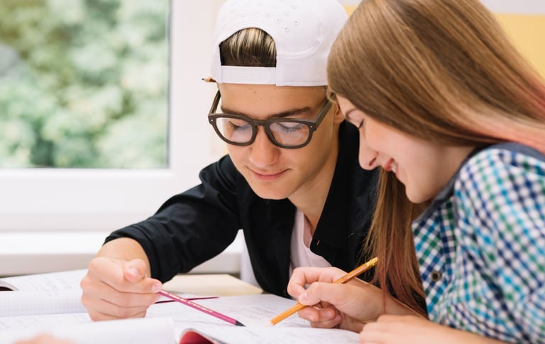 devoirs faits