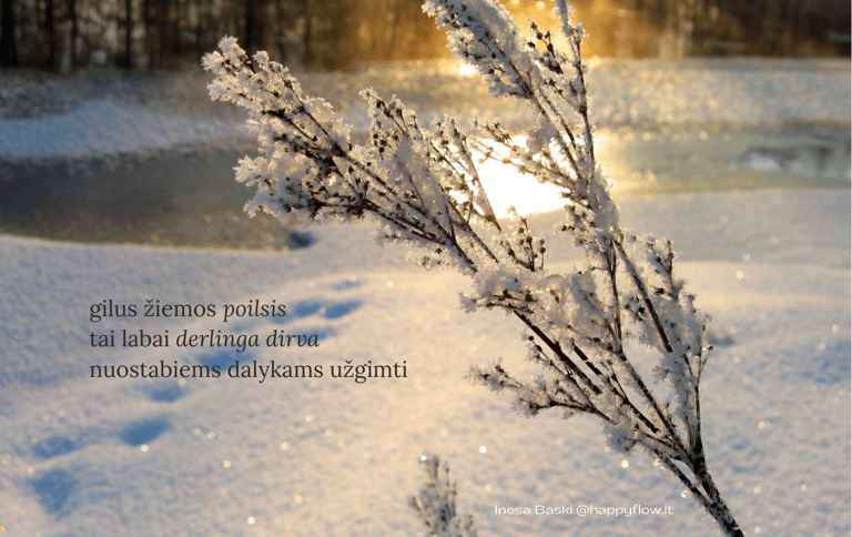gilus poilsis derlinga dirva