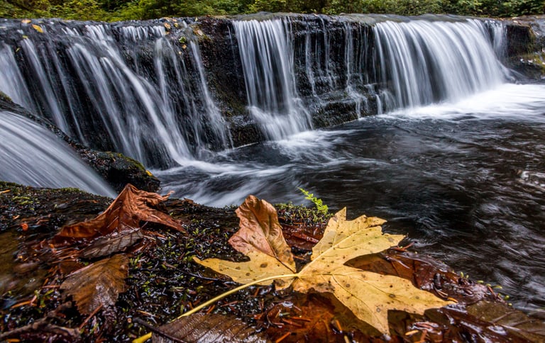 Water falls through the mountains and forests of Oregon.