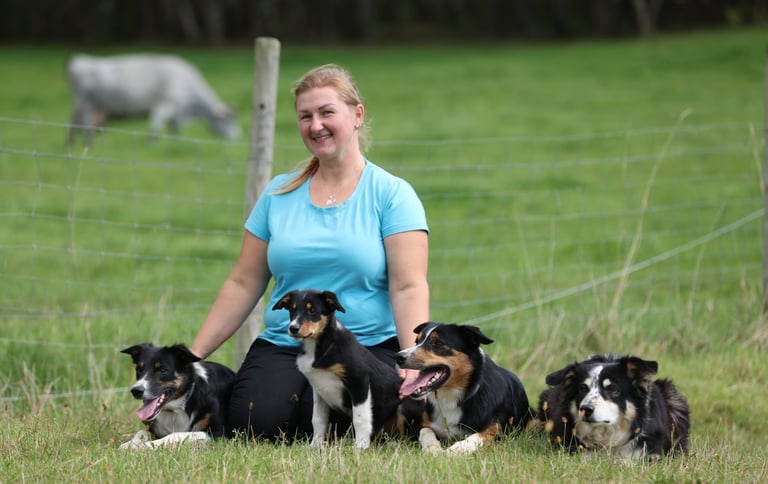 Border Collie breeder | Herding instructor | Dog training | Herding judge