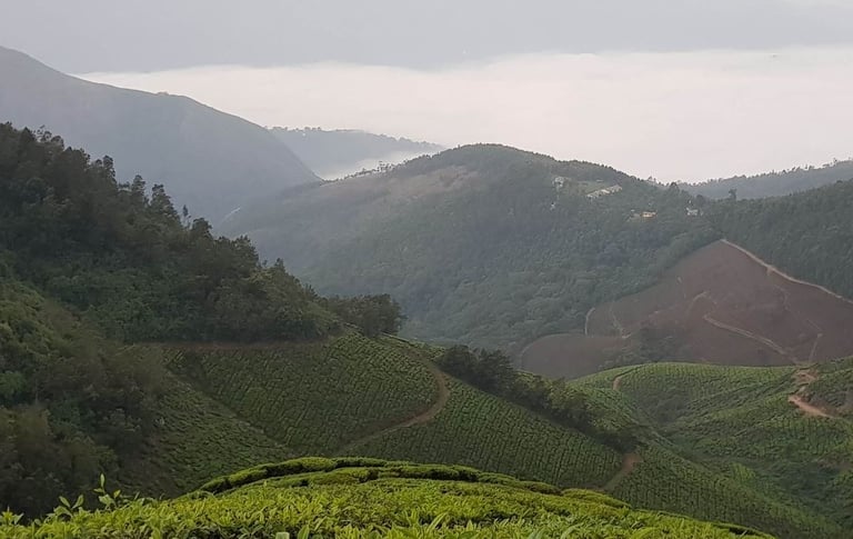kolukkumalai-teaestate
