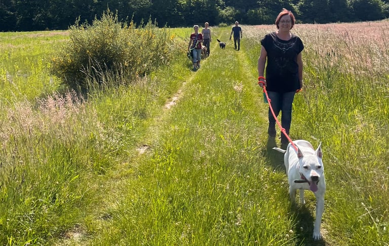Foto von einen Social Walk.