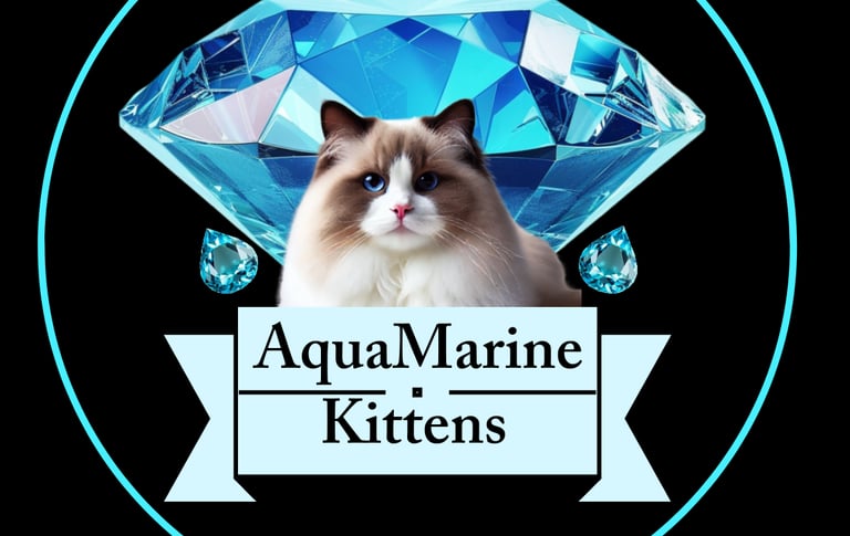 AquaMarine Kittens