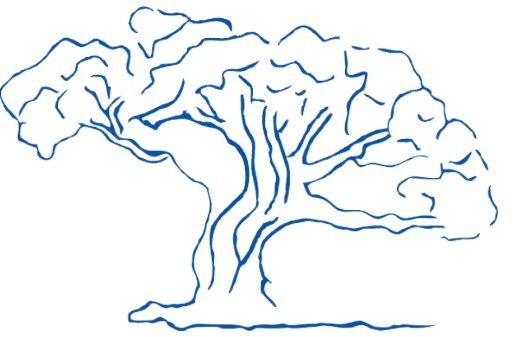 MNSophrologie, sophrologue à Limoges et environ
