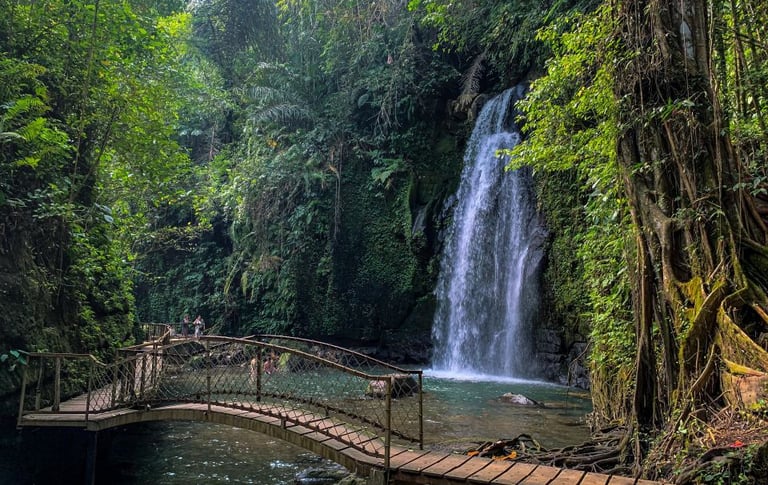 Ubud Waterfall