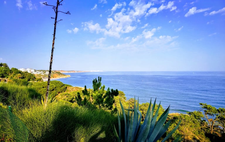 mooie groene kustlijn van ALbufeira bij Alfagar Village