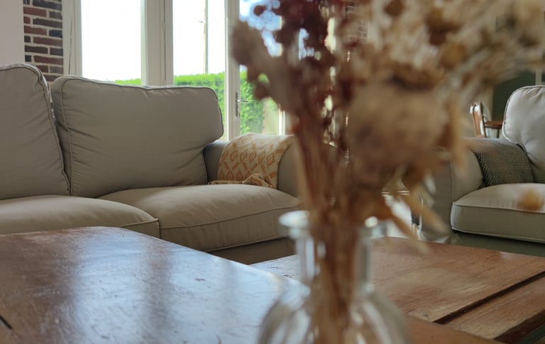 Architecture intérieure, design, salon, maison, campagne, famille, doux, cocoon