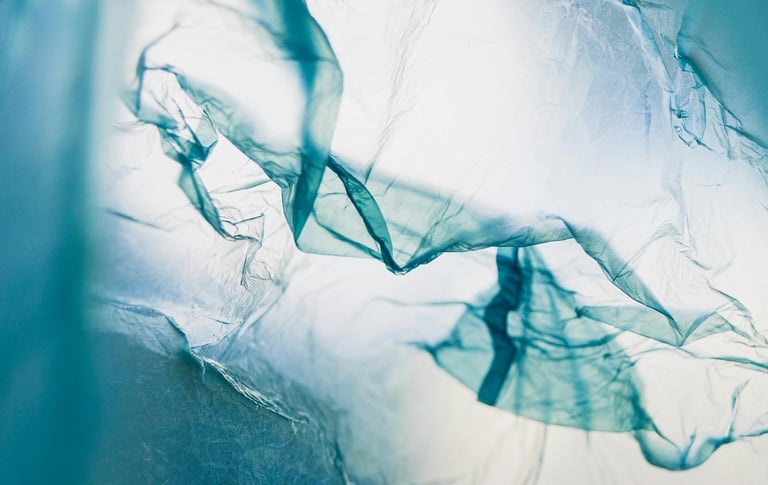 a plastic bag floating in the sea