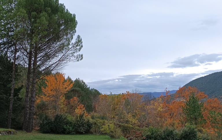 Looking west. from our garden
