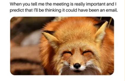 From Memes to Millions