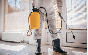 Insecticide