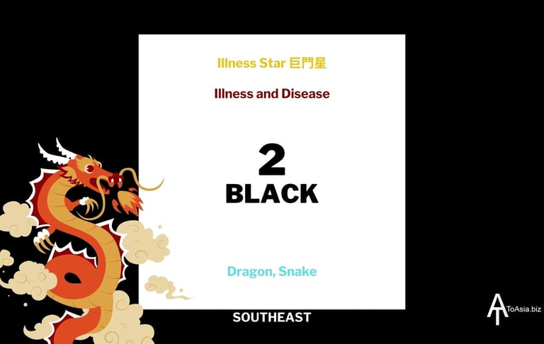 2024 - Southeast Black Illness Star - Flying Star Chart