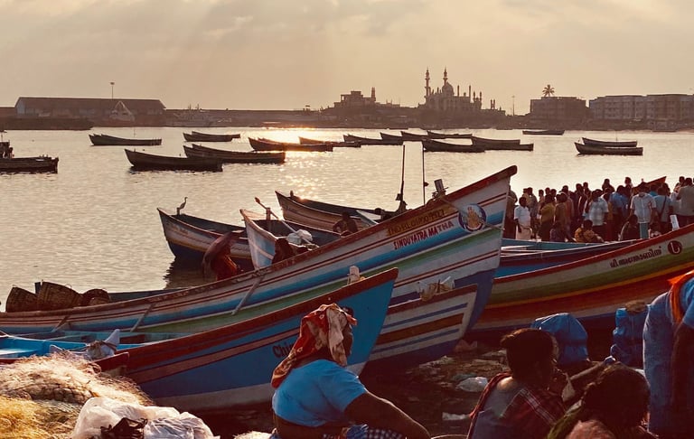 Market Opportunities: India