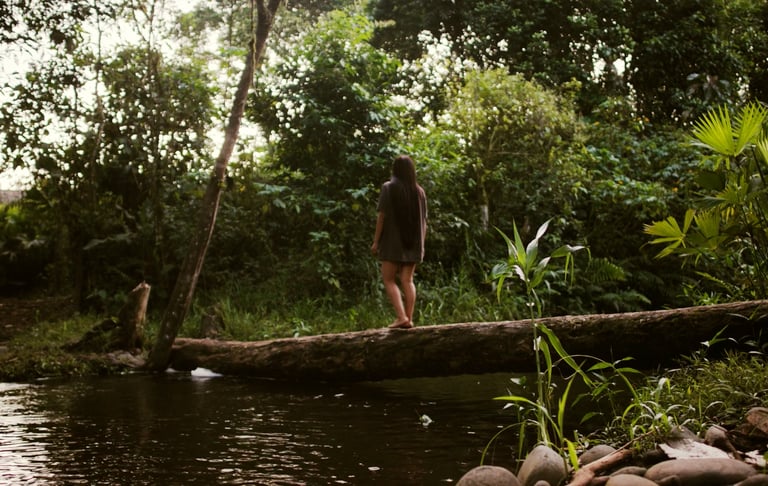 Project Aves Residentes Trailer