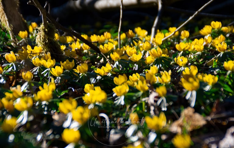 street photographie - photo de rue - un eternel instant - photographe portrait bas rhin