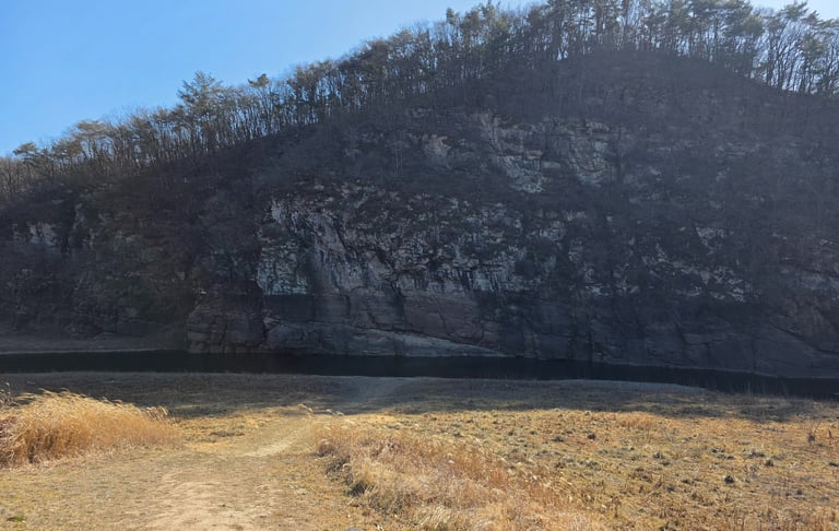 Area of the Bangudae Terrace petroglyphs