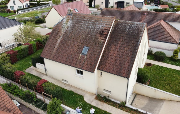 avant nettoyage toiture