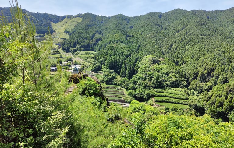 a view of a valley with a mountain in the background