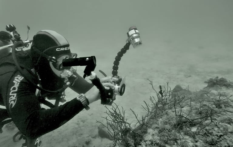 Shawn Murphy in his early days with the canon S10 shooting a ghost pipe fish
