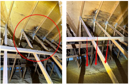 Black mold growth on attic roof sheathing caused by a water leak and poor ventilation.