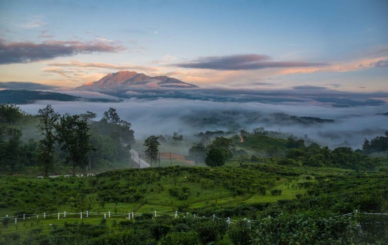 Sabah Tea Garden Resort