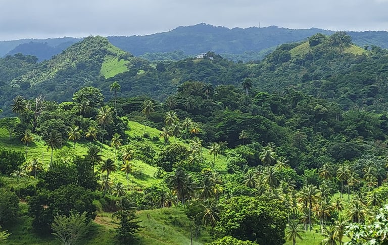 Natural Integration with the Landscape