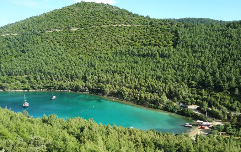 gölköy şoförlü araç kiralama