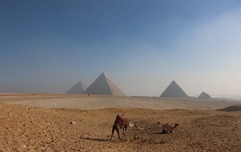 a camel in the desert with pyramids and pyramids