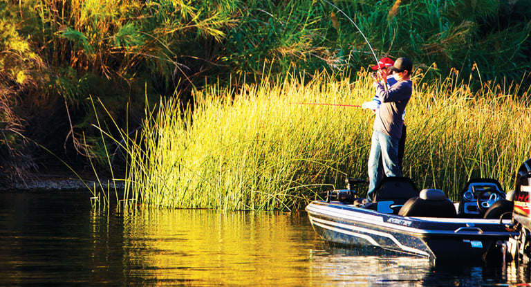 fishing in Lake Havasu City
