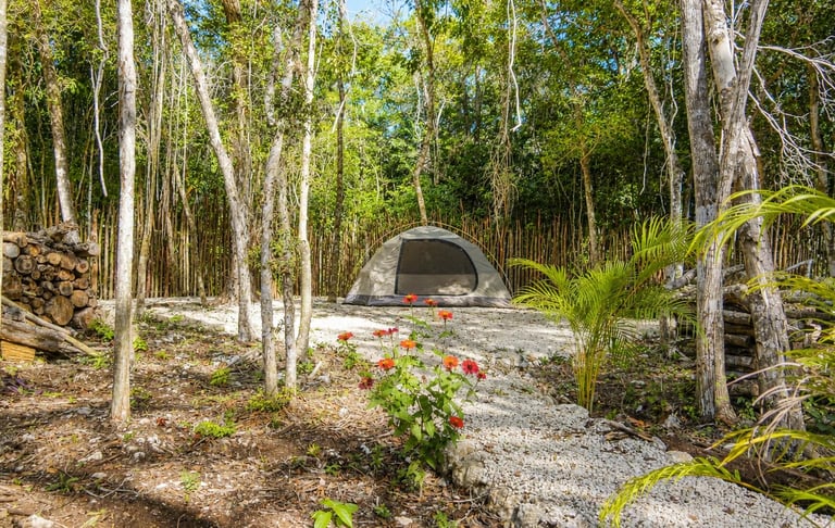 A tent in Venamarte, set up in the isolated camp in the Mayan jungle, with a gravel path and firewoo