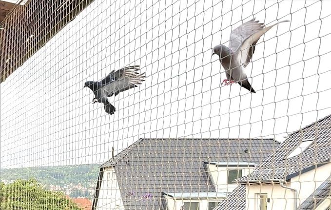 Instalacia zabran proti holubom