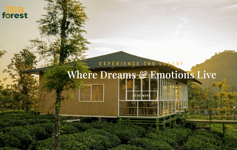 Tea Forest Resort, Ayanikal, Periya, Mananthavady