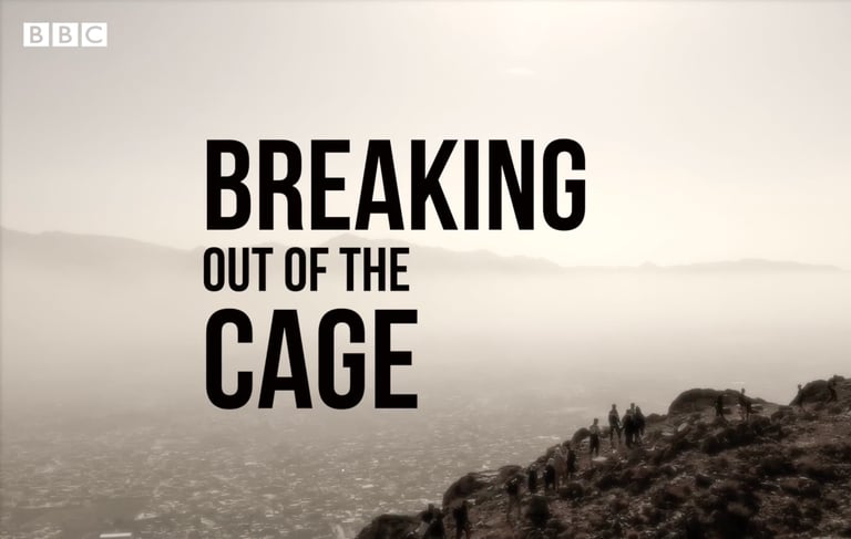 Breaking out of the Cage, a short documentary for BBC News, by Musa Yawari and Kevin Kim.
