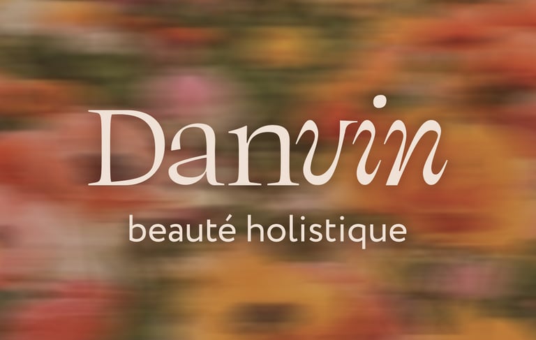 projet de design graphique - Logo de la marque Danvin - Direction artistique