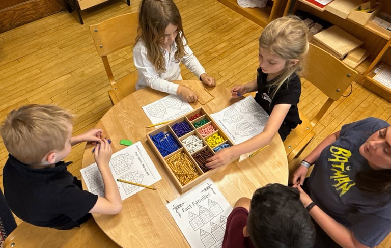 Montessori Group Activity