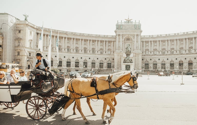 Vienna horses