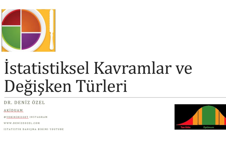 değişken türleri