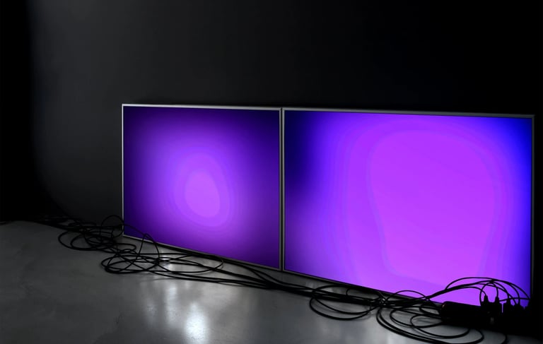 digital art, video installation,  joanna wlaszyn