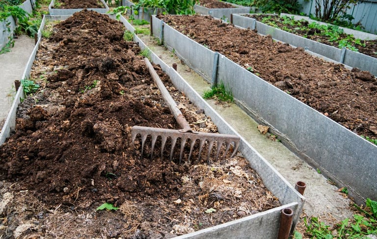 a garden bed filled with a good soil mix