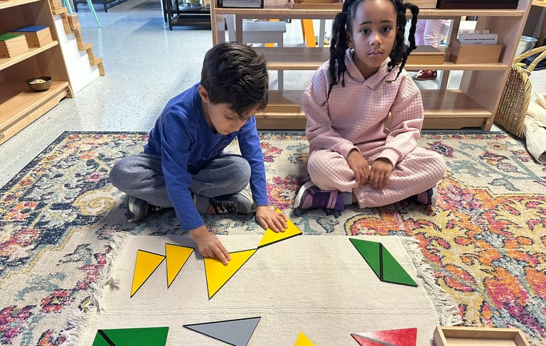 Montessori Activity