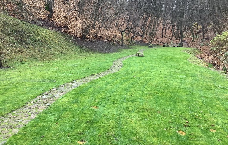 idealiai sutvarkytas kiemas nuo didelio kiekio lapų