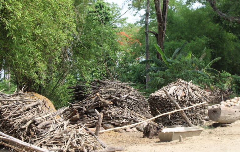 wood storage in Thakurdwara village