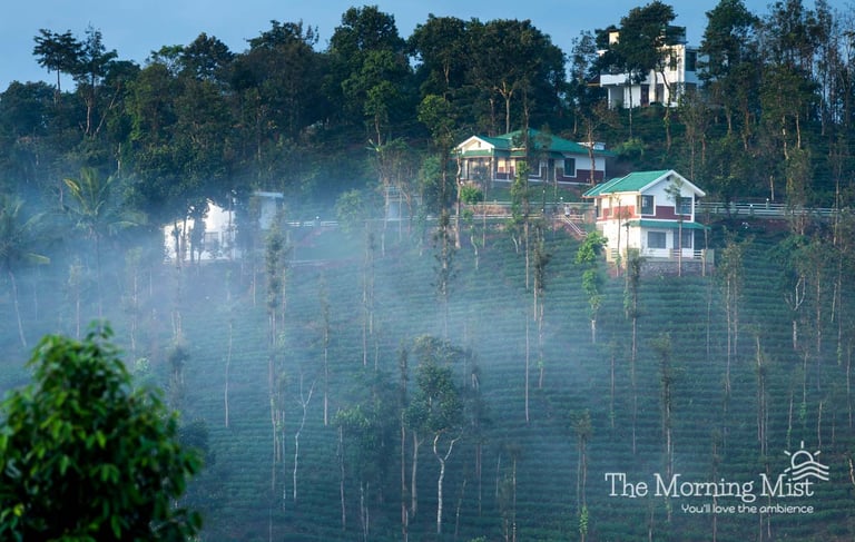 The Morning Mist Resort, Thalapuzha, Manathavady