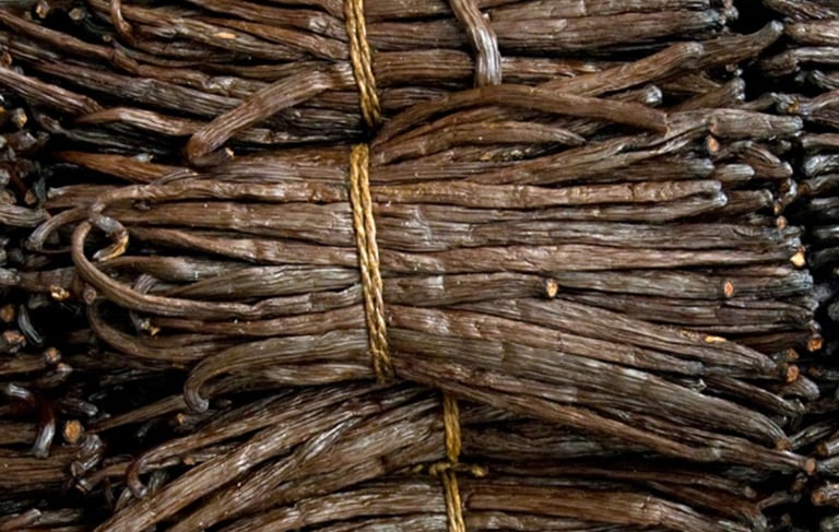 vanilla tahitensis